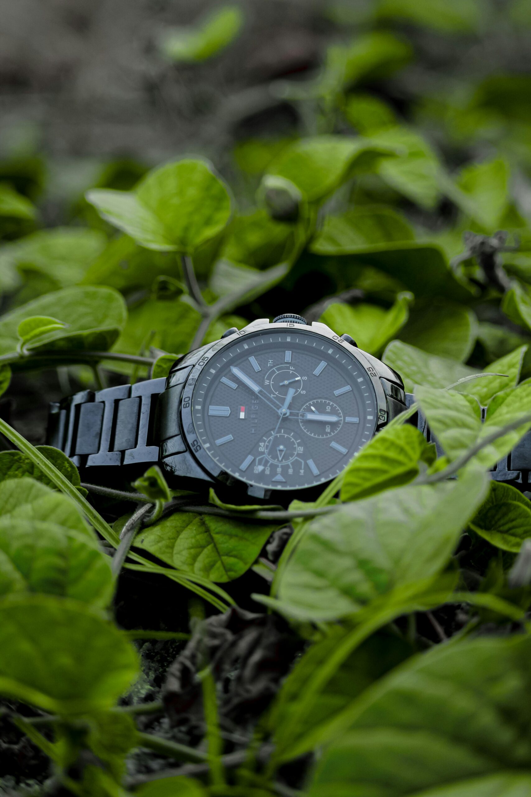 A stylish black wristwatch placed among vibrant green leaves in an outdoor setting.